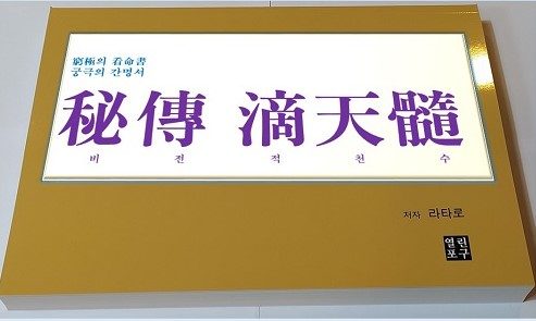 비전적천수 표지